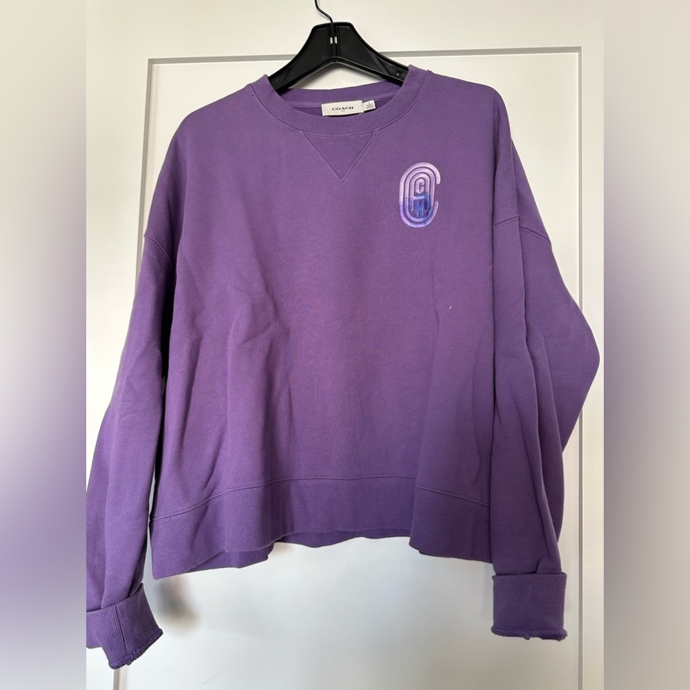 COPY - Coach Oversized Unisex Sweatshirt